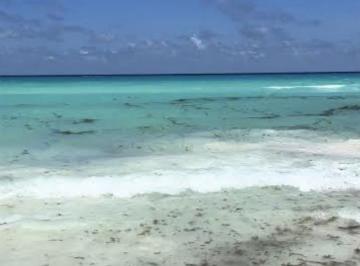 Terreno / Lote · 1270000m² · Terreno en Puerto Morelos