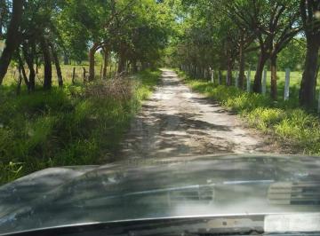 Terreno / Lote · 100000m² · Terreno en Emiliano Zapata Veracruz