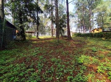Terreno / Lote · 1000m² · 1000 m de Terreno Boscoso en Cerro Gordo, Valle de Bravo