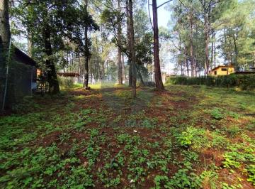 Terreno / Lote · 1000m² · 1000 m de Terreno Boscoso en Cerro Gordo, Valle de Bravo