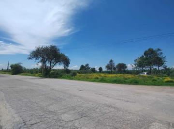 Terreno comercial · 3014m² · Terreno en Renta, Carretera Metepec - Zacango, Calimaya, Estado de México. - (4)