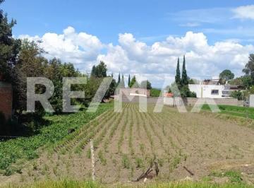 Terreno / Lote · 1500m² · Terreno en Venta – San Francisco Tepeyac, San Martín Texmelucan - (4)