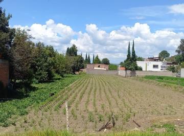 Terreno / Lote · 1500m² · Terreno en Venta – San Francisco Tepeyac, San Martín Texmelucan - (4)