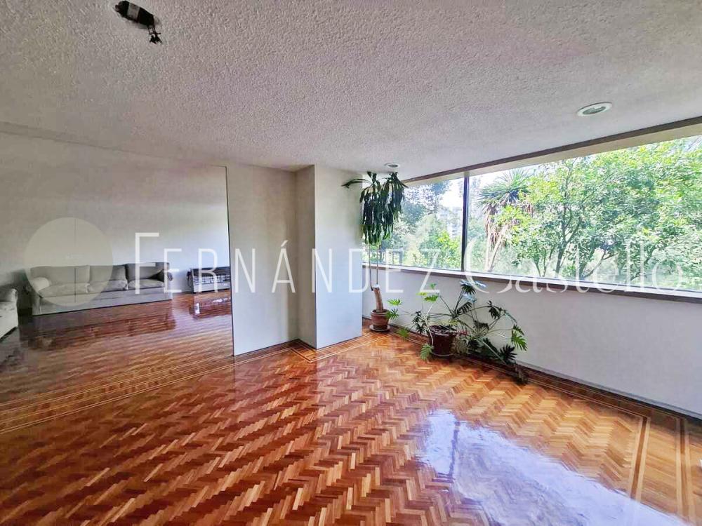 Rental Apartment, Cofre de Perote, Lomas Chapultepec