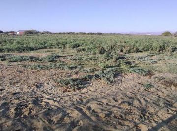 Terreno / Lote · 30051m² · Terreno en Venta en Ejido El Centenario, La Paz, B. C. s.