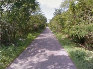 Terreno / Lote · 70000ha · 7 Hectáreas a Solo 60 m de La Carretera Canicab - Acanceh