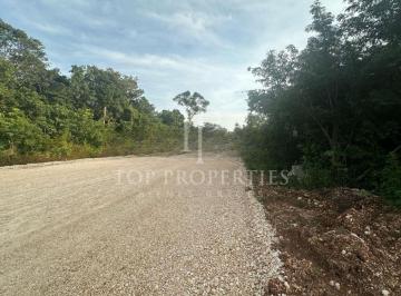 Terreno / Lote · 2000m² · Terreno en Venta, Carretera Leona Vicario Km 9, Leona Vicario, Quintana Roo.