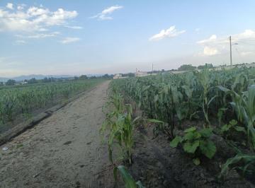 Huerta , Huamantla · Huerta con 13110 m² en Venta en Huamantla, Se Puede Aprovechar Para Construcción de Viviendas