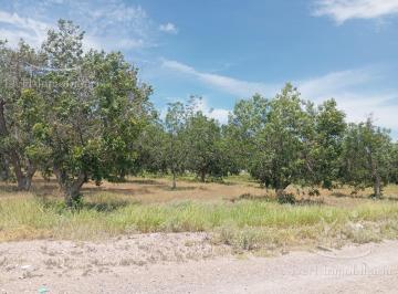 Terreno / Lote · 14m² · Terreno en Delicias