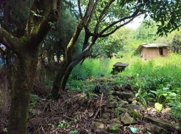 Terreno / Lote · 800m² · 2 Estacionamientos · Terreno en Acatitlán, Valle de Bravo con Pequeña Huerta de Aguacates