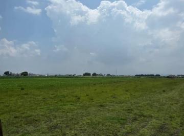 Terreno / Lote · 2746m² · ¡Gran Oportunidad $1,000 M&sup2;! Se Rematan Terrenos Santa Cruz Atizapán. Cerca Univ Tianguistengo