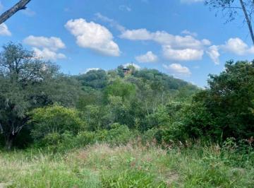 Terreno / Lote , Allende · Terreno en Venta en Allende N. L.