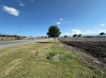 Terreno comercial · 21505m² · Terreno Comercial en Renta en Bellavista