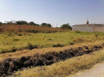 Terreno / Lote , Jiutepec · Se Venden Lotes en Ejidos de Acapatzingo