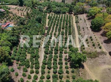 Terreno / Lote · 97300m² · Terreno en Venta - (4)