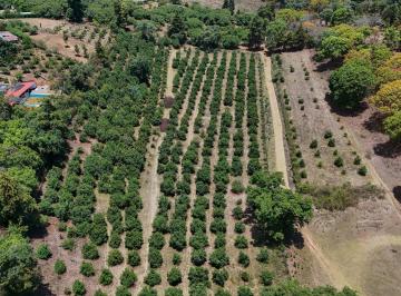 Terreno / Lote · 97300m² · Terreno en Venta - (4)