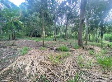 Terreno / Lote · Terreno - Pueblo Pacho Viejo