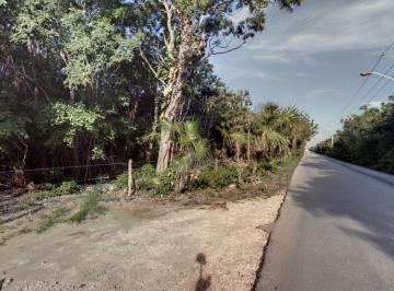 93877ac9a81634f66c75a67c00ce5dcb01a6ab0fc22282455d5220259536dfbe · #venta Terreno 70ha, Turístico - Habitacional, Puerto Morelos, Qr