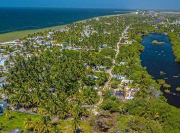 Terreno / Lote · 350m² · Terrenos en Yucatán: Vive o Invierte Junto Al Mar de San Crisanto