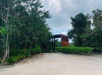 Terreno / Lote · 491ha · Hermoso Terreno en Venta en Tulum Carretera Tulum - Coba