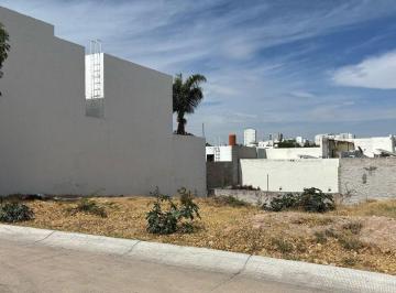 Terreno / Lote · 300ha · Terreno en Venta en Cañada del Refugio León Guanajuato Zona Norte