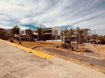 Terreno / Lote · 300ha · Terreno en Venta en Cañada del Refugio León Guanajuato Zona Norte