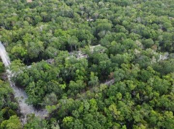Terreno / Lote · 2740ha · Terreno en Venta en Tulum Quintana Roo
