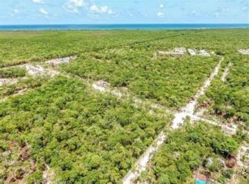Terreno / Lote · 543ha · Terreno en Venta en Tulum Quintana Roo