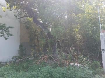 Terreno / Lote · 1000m² · Terreno en Cancún