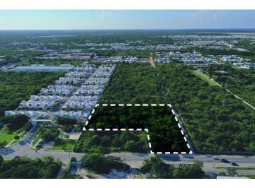 Terreno / Lote · 6949m² · Terreno en Venta en Mérida Dzitya