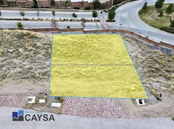 Terreno / Lote · 427m² · Terreno en Venta en Altozano (Cerrada El Zorro)