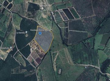 Terreno / Lote , Montemorelos · Terreno en Venta en Montemorelos