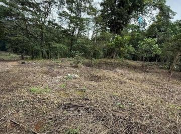 Terreno / Lote · 588m² · Terreno en Venta en San Isidro, Xicotepec