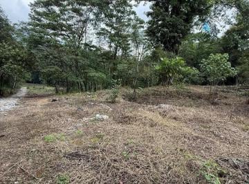 Terreno / Lote · 588m² · Terreno en Venta en San Isidro, Xicotepec