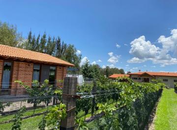 Casa de 3 habitaciones, San Miguel de Allende · Venta Casa San Miguel de Allende - Cieneguita