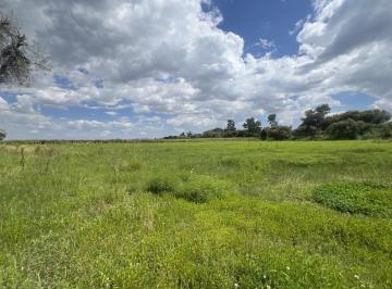 Terreno / Lote · 12000m² · Terreno en Exhacienda Santa Águeda