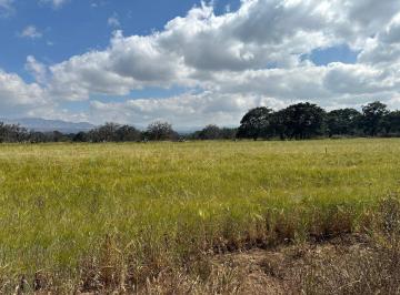 Terreno / Lote · 8000m² · Venta de Terreno Rústico en San Pedro Huatengo