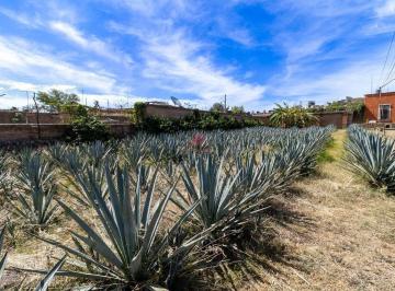 Terreno / Lote , El Arenal · Terreno en Venta en El Arenal, Jalisco.