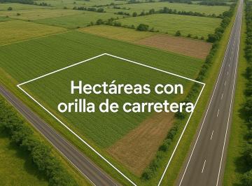 Terreno / Lote , Medellín · Hectáreas en Venta Frente a Carretera, Listas Para Desarrollo o Uso Comercial!