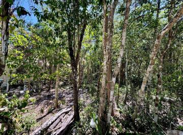 Terreno / Lote · 1204m² · Land in Chemuyil