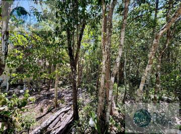 Terreno / Lote · 1204m² · Land in Chemuyil