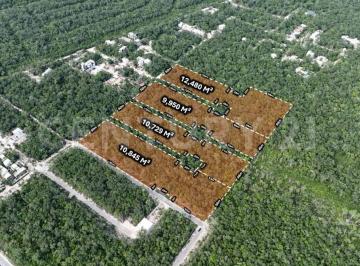 Terreno / Lote · 44004m² · Terreno en Venta en Tulum, Quintana Roo – 4 Hectáreas con Densidad H4