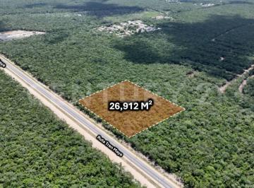 Terreno / Lote · 26912m² · Terreno en Venta en Tulum, Quintana Roo