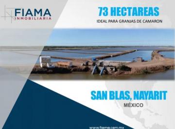 Terreno / Lote , San Blas · Se Vende Terreno Ideal Para Granjas de Camarones