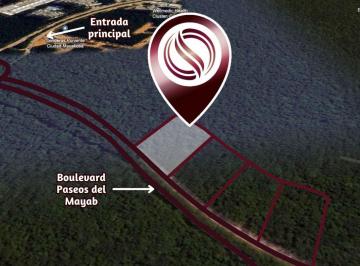 Terreno comercial , Solidaridad · Macrolote, Dentro de Residencial, en Venta, Ciudad Mayakoba, Playa del Carmen