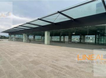 Local comercial · 173m² · 300 Estacionamientos · Local en Renta en Monterrey