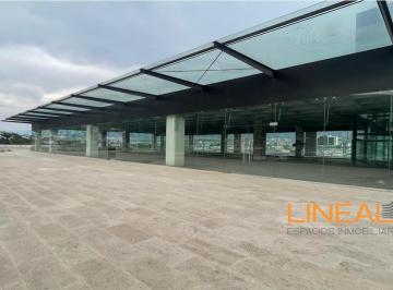 Local comercial · 173m² · 300 Estacionamientos · Local en Renta en Monterrey