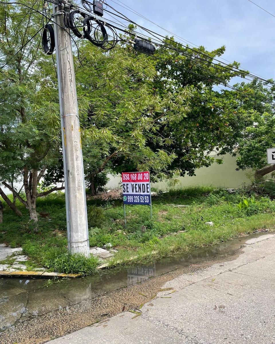 Terreno en Venta Zona Premium Calle 50 X Ciricote, Col. Miami