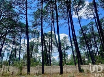 Terreno / Lote · 3000m² · Terreno en Tapalpa 3000 m² (El Estuche Grande)
