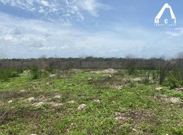 Terreno / Lote · 300m² · Terreno Conkal